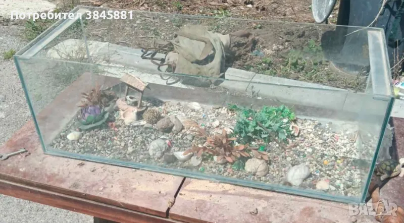 продавам аквариум, снимка 1