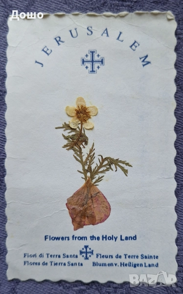 Картичка от Божи гроб с хербаризирано цвете, снимка 1