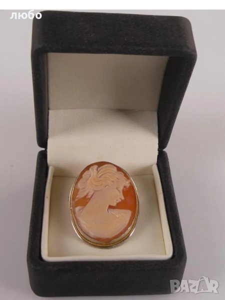 Сребърна Брошка Камея 0,800 Сребро Със Златен Обков 18 к, снимка 1