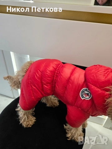 Зимен гащеризон Moncler 