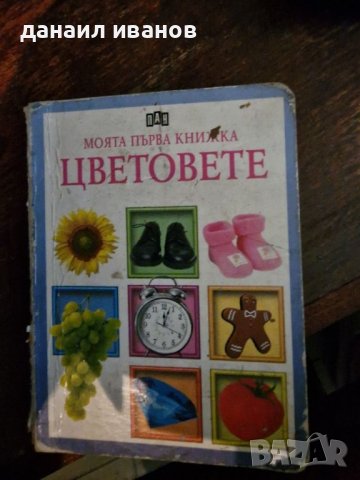 Цветовете , снимка 1