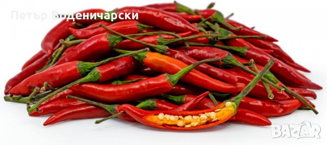 Семе семена от най-лютите чушки на планетата  Люта чушка Тай чили Thai Red Червени тайландски чилийс, снимка 1 - Разсади - 37874245