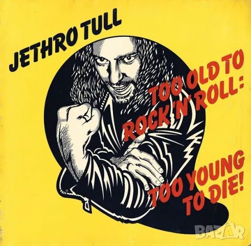 Грамофонни плочи Jethro Tull, Amanda Lear, Sweet, Slade, Barry White, Kansas X 15 €, снимка 17 - Грамофонни плочи - 43336489