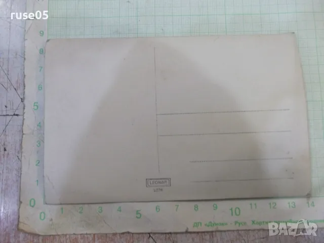 Снимка стара на група седнала на тревата, снимка 2 - Колекции - 48001978