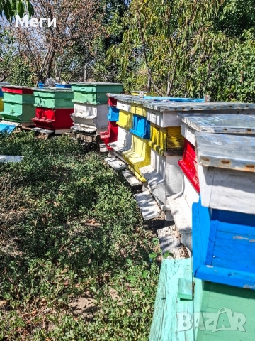 Продавам домашен пчелен мед.Собствено произвдоство.Гарантирано качество.Без добавки.