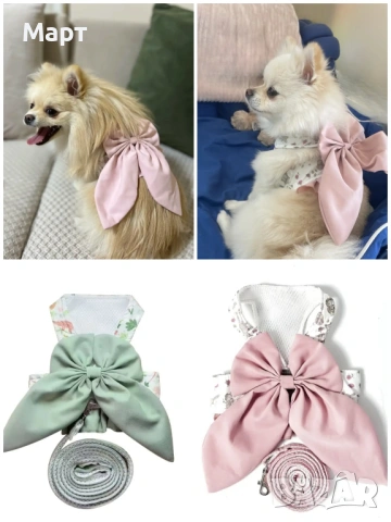 Рокля за куче с нагръдник и каишка Йорки Шпиц Померан Териер