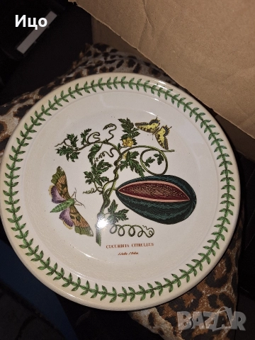 BOTANIC GARDEN, снимка 13 - Други - 52914818