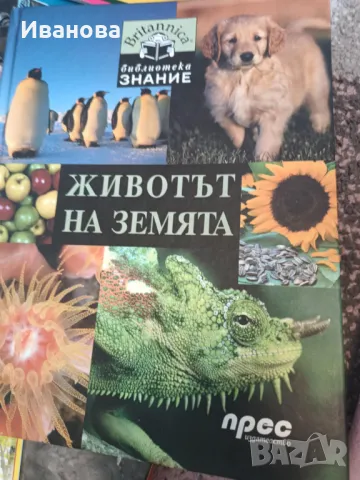 книги, снимка 7 - Детски книжки - 49519680