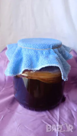 Тибетска чаена гъба Комбуча + стартер течност за напитка в стъклен буркан 1750 мл.