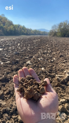 7 Дка – Рента 100 ЛВ/ДКА – от Собственик