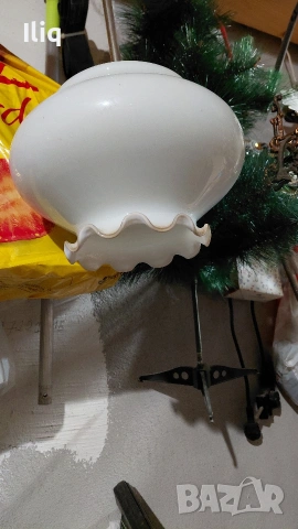 полилей единичен. , снимка 2 - Полилеи - 53237624