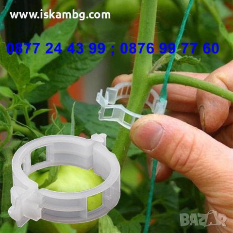 50 броя щипка - клипс за подържане на домати и растения - КОД 3691, снимка 2 - Други - 36674902
