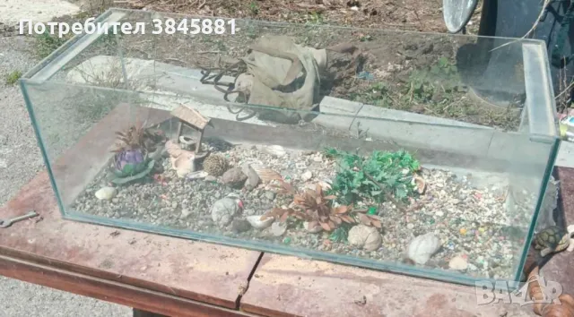 продавам аквариум