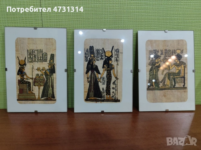 Папируси 3 броя в стъклени поставки