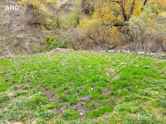 Продава каменна къща в Родопите , снимка 6 - Къщи - 52134355