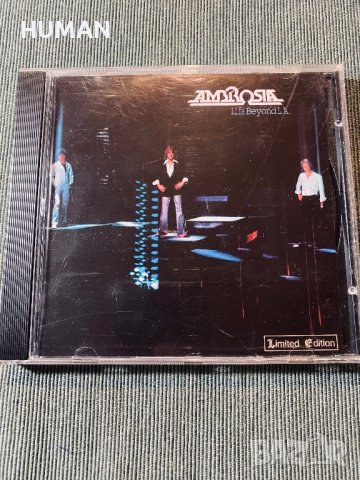 SBB - Larry Carlton - Ambrosia , снимка 14 - CD дискове - 42473874