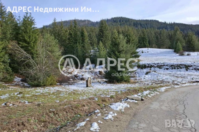 Продава, Парцел/ Терен, с. Стойките, общ. Смолян, снимка 6 - Парцели - 52718892