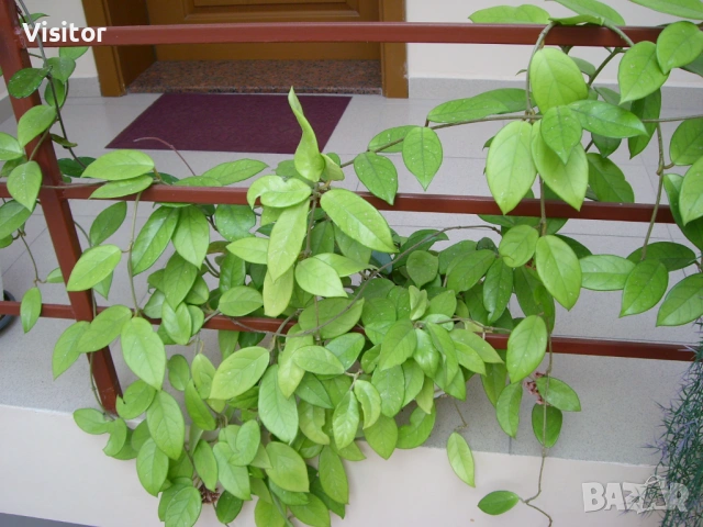 фотоапарат Samsung L70 Digital  , снимка 14 - Фотоапарати - 54254462