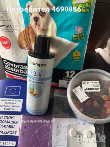 Мини чиху пинчер, снимка 3 - Пинчер - 52885044