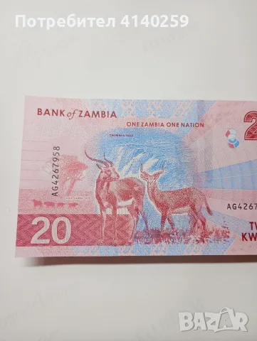 ЗАМБИЯ БАНКНОТА 20 КВАЧА , снимка 4 - Нумизматика и бонистика - 56449296
