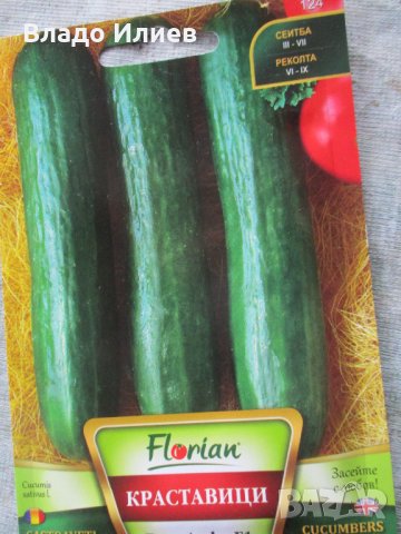 Семена за магданоз,краставици и фасул неразпечатани опаковки, снимка 8 - Сортови семена и луковици - 35184139