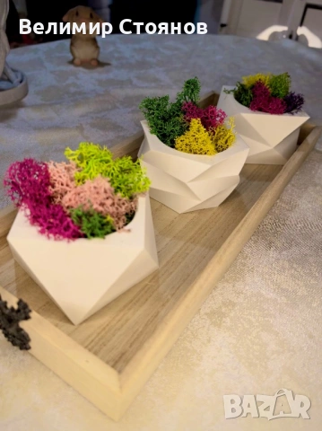 Скандинавски мъх в дизайнерски саксий