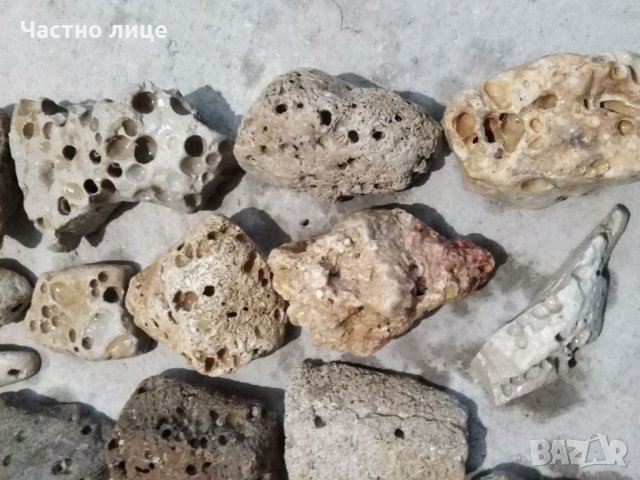 Камъни за декорация на Аквариума , снимка 9 - Аквариуми - 32027317