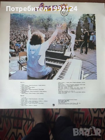 Грамофонни плочи, снимка 12 - Грамофонни плочи - 48396051