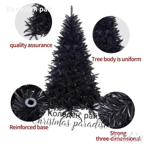 Черна елха Енигма с тънък клон , снимка 2 - Декорация за дома - 52353376