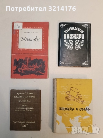 Хъшове - Васил Мавродиев