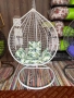 люлка- градинска люлка тип яйце, гнездо, висяща, снимка 2