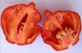 Семена от шестте най-лютите чушки на планетата : 1. Каролина Рийпър (Carolina Reaper) Средна лютивин, снимка 2