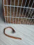 Ратанова клетка /кош, снимка 7