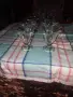 Продавам комплект чаши за сладолед ( мелба), снимка 1