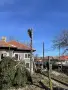 Рязане и премахване на опасни дървета, снимка 8