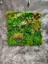 Изкуствено озеленяване по проект , снимка 1