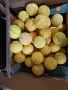 Тенис топки всякакъв вид, снимка 9