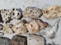 Камъни за декорация на Аквариума , снимка 9