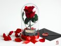 Оригинален Подарък за Рожден Ден на Жена / Естествена Вечна Роза в Стъкленица / Жива Вечна Роза, снимка 6