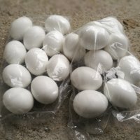  Изкуствени пластмасови яйца за кокошки  тежки , снимка 1 - За птици - 35279530