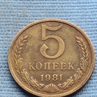 Стара монета 5 копейки 1981г. СССР рядка за КОЛЕКЦИОНЕРИ 40409, снимка 4 - Нумизматика и бонистика - 42729815