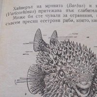 Опасни морски животни - Койка Александрова, снимка 6 - Българска литература - 42757311