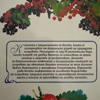 Енциклопедия за плодовете Лечение и козметика Веселин Денков, Румяна Денкова, снимка 5 - Специализирана литература - 44438046