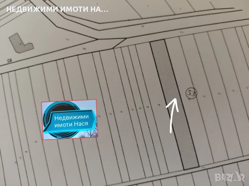 Лозе, снимка 1