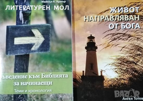 Живот, направляван от Бога / Въведение към Библията за начинаещи. Теми и хронология, снимка 1