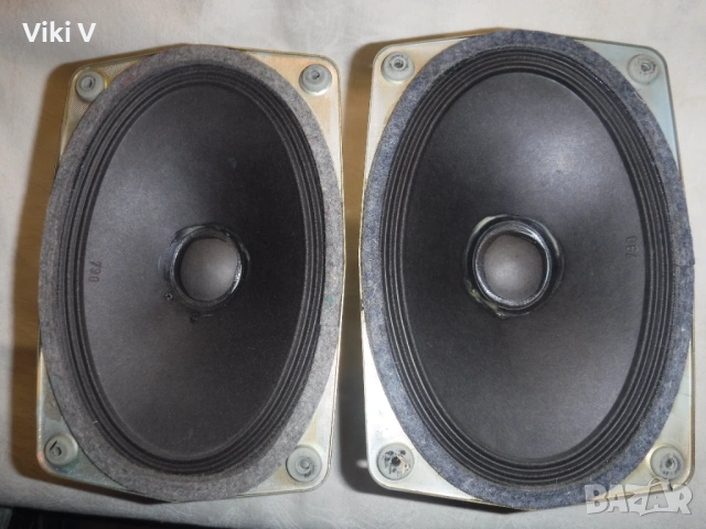 Среди , елипси , 220х150 мм, 8 ома