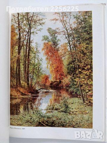 Шишкин, снимка 9 - Специализирана литература - 53936149