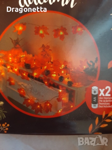 Златна есен продукти , снимка 10 - Други - 52020856