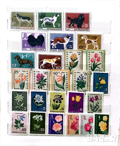 България   К.2-2