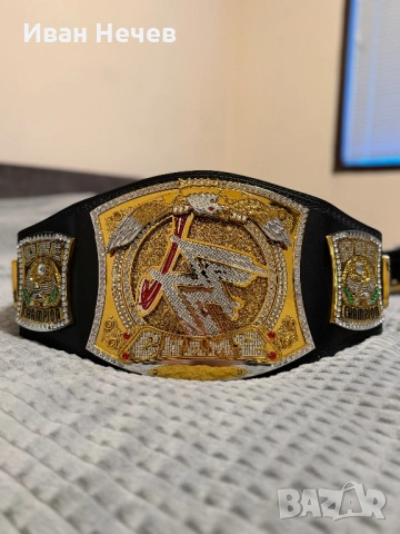 WWE Spiner Championship , снимка 3 - Колекции - 54229982